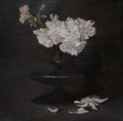 Белая герань