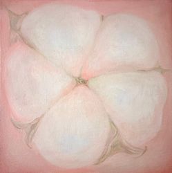 Хлопковое облако