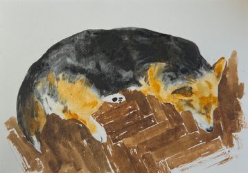 Коржик