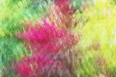 Из серии "Исчезнуть, замолчать, услышать"