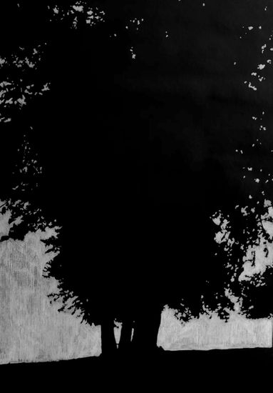 Dark forest 14