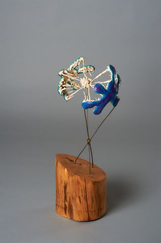CAPOS(PN) 0007