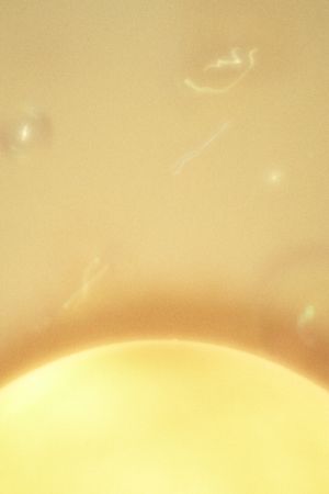 Анна Конушкина (Фотография - 
                  60 x 90 см) Time #1