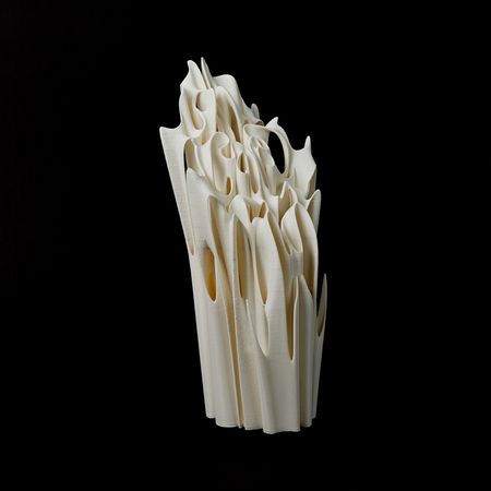 Юлия Низамутдинова (Cyberflora) (Объект - 
                  20 x 45 см) Ossis denti