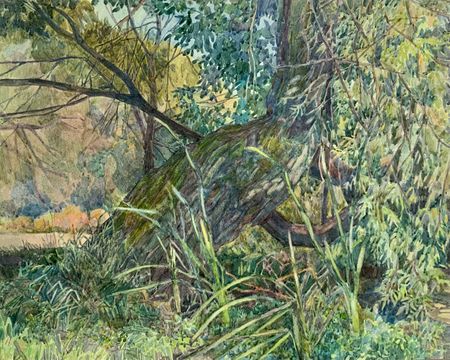 Елизавета Тульчинская (Авторская графика - 
                  36.9 x 28.2 см) Этюд. Дерево