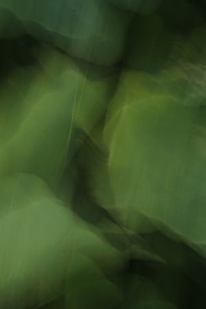 Татьяна Сенчило (Фотография - 
                  70 x 100 см) Из серии "Исчезнуть, замолчать, услышать"