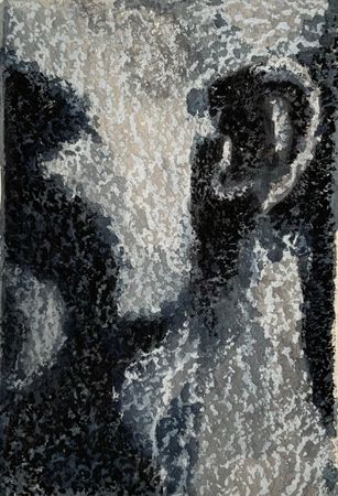 Елизавета Тульчинская (Авторская графика - 
                  32.3 x 42 см) Мерцание