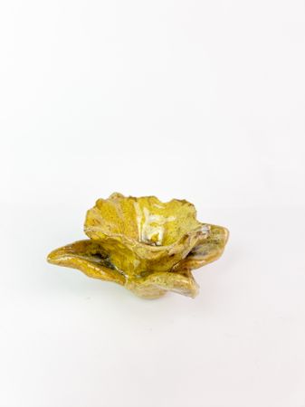 Алина Ващенко (Скульптура - 
                  13 x 7 см) Объект 5 из серии "Anthesis"