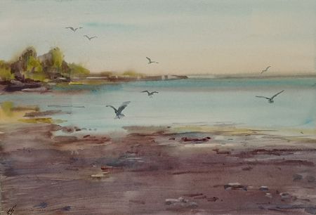 Елена Санина (Авторская графика - 
                  40 x 30 см) Чайки