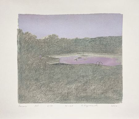 Надежда Воронцова (Графика печатная - 
                  50 x 42 см) Бассейн