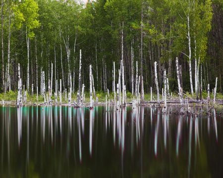 Фёдор Телков (Фотография - 
                  75 x 60 см) Вода и металлы II