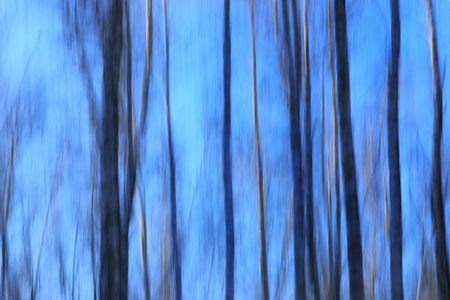 Татьяна Сенчило (Фотография - 
                  100 x 70 см) Из серии "Исчезнуть, замолчать, услышать"