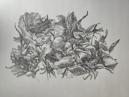 Наталия Рокотова (Авторская графика - 
                  38 x 30 см) Шиповник