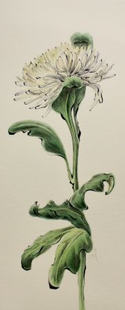 Любовь Фонарева (Авторская графика - 
                  21.5 x 51.5 см) Chrysanthemum