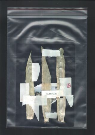 Антон Шульгин (Коллаж / ассамбляж - 
                  15 x 21 см) Голландский альбом (Чёрный) №7
