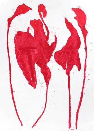 Алиса Валевская (Авторская графика - 
                  30 x 40 см) Ирис