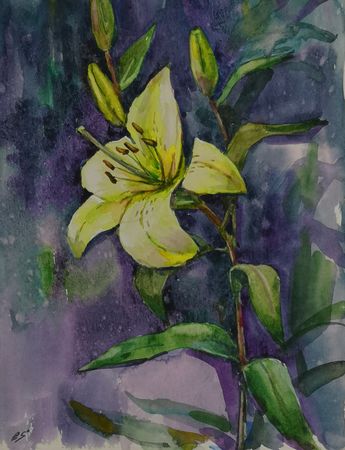 Елена Санина (Авторская графика - 
                  24 x 30 см) Лилия