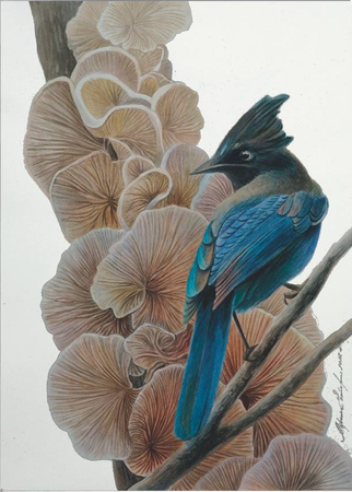 Екатерина Маркина (Авторская графика - 
                  35 x 50 см) Нюд