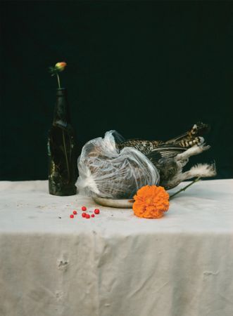 Ольга Шаповалова (Фотография - 
                  30 x 40 см) #4