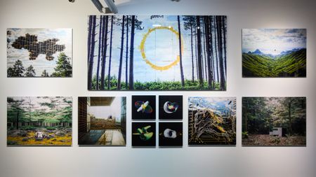 Ринат Абдрахманов (Rinatto L'bank) (Графика цифровая (принты) - 
                  120 x 90 см) Лес помнит всё