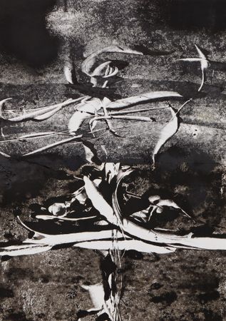 Дмитрий Василенко (Авторская графика - 
                  68 x 74 см) Воланд