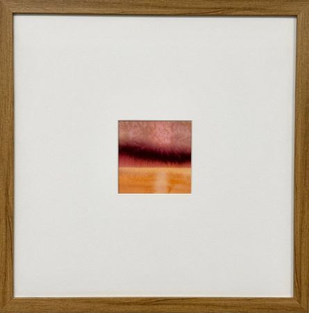 Анастасия Попова (Авторская графика - 
                  40 x 40 см) После дождя