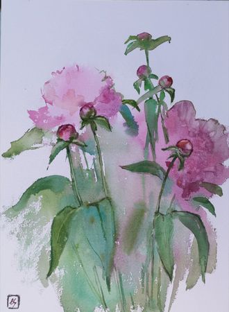 Елена Санина (Авторская графика - 
                  28 x 37 см) Пионы. Рассвет