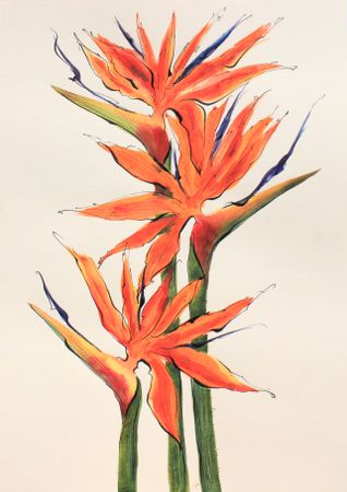 Любовь Фонарева (Авторская графика - 
                  29.7 x 41.8 см) Стрелитция (3)