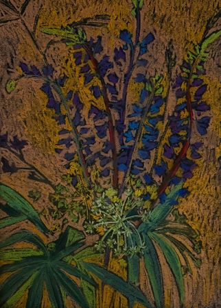 Алена Сокольникова (Авторская графика - 
                  29.5 x 40 см) Полевые цветы