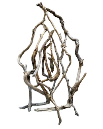 Антонина Осипенко (Объект - 
                  63 x 110 см) Женское начало