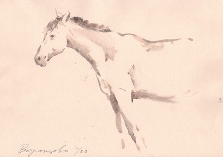 Надежда Воронцова (Авторская графика - 
                  30 x 22 см) Дымка воспоминаний