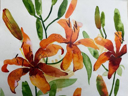 Алена Сокольникова (Авторская графика - 
                  41.5 x 33.5 см) Лилии тигровые