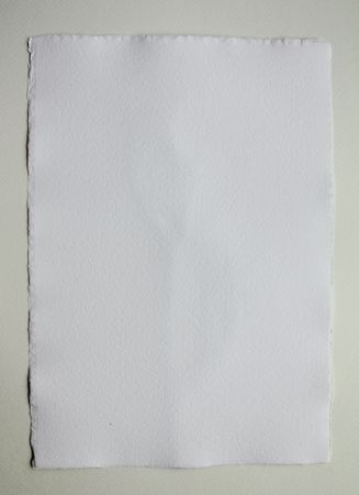 Любовь Фонарева (Авторская графика - 
                  21.3 x 30.3 см) Ирис. Бутоны
