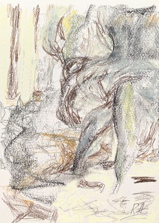 Алина Размахнина (Авторская графика - 
                  21 x 30 см) То ли женщина