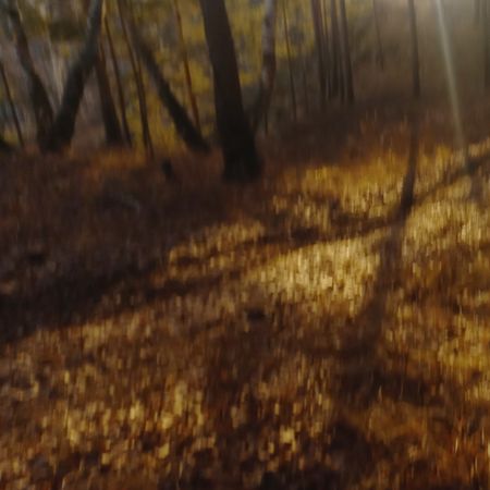 Татьяна Сенчило (Фотография - 
                  50 x 50 см) "ПРОСТРАНСТВО ТИШИНЫ" из проекта "Исчезнуть, замолчать, услышать"