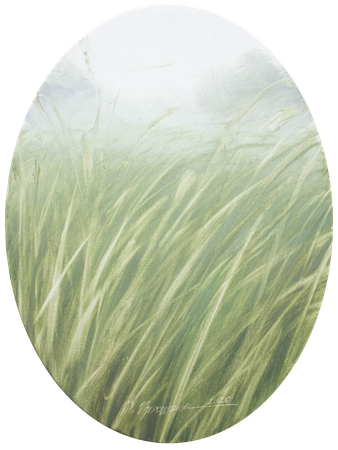 Татьяна Прокшина (Картина, живопись - 
                  30 x 40 см) Движение