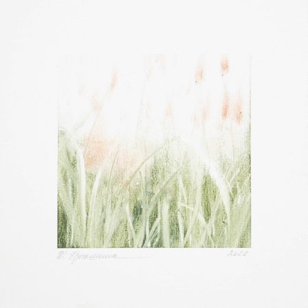 Татьяна Прокшина (Авторская графика - 
                  20 x 20 см) Светлый коралл (этюд)