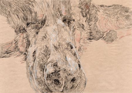 Саша Медведева (Авторская графика - 
                  42 x 30 см) Сладкий сон