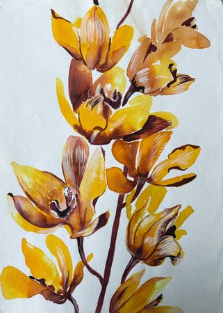 Алена Сокольникова (Авторская графика - 
                  32 x 44.5 см) Орхидея