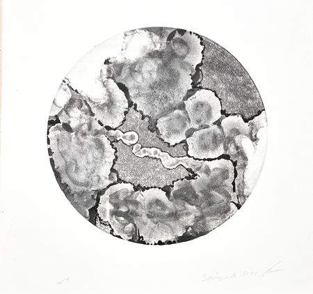 Мария Зайцева (Графика печатная - 
                  45 x 45 см) Из серии "Постоянство" N4