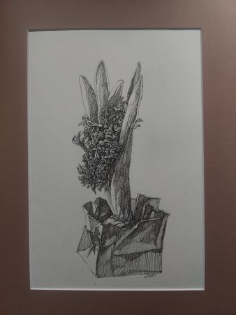Наталия Рокотова (Авторская графика - 
                  30 x 40 см) Гиацинт