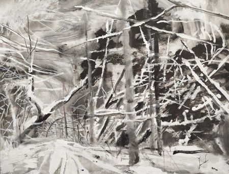 Евгения Крутова (Авторская графика - 
                  49 x 39 см) Зима в лесу II