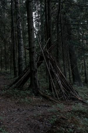 Дмитрий Васильев (Фотография - 
                  40 x 60 см) Demarcation IV