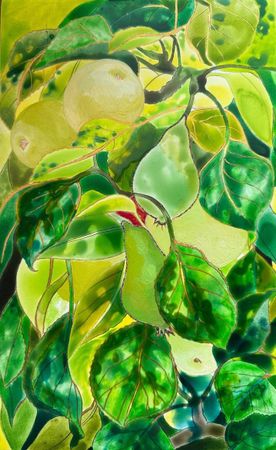 Юлия Кривозубова (Авторская графика - 
                  21 x 33 см) Из серии "Яблоки и груши"