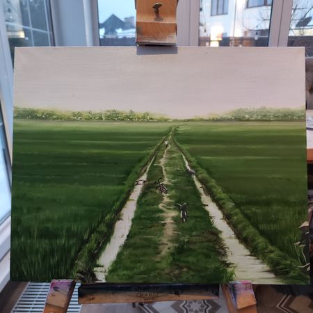 Мила Bezú (Картина, живопись - 
                  50 x 40 см) Rice fields in Vietnam
