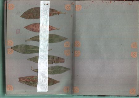 Антон Шульгин (Коллаж / ассамбляж - 
                  29.7 x 42 см) Русский альбом (Красный)