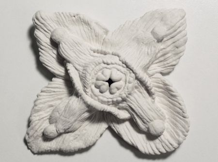 Егор Щаблыкин (Объект - 
                  11 x 11 см) Epimedium (Цветок эльфов)