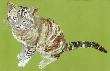 Саша Медведева (Авторская графика - 
                  42.5 x 32.5 см) Кот с зелёными глазами