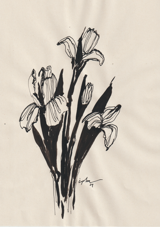 Виктория Зарецкая (Авторская графика - 
                  21 x 29.7 см) Encre et fleurs 07