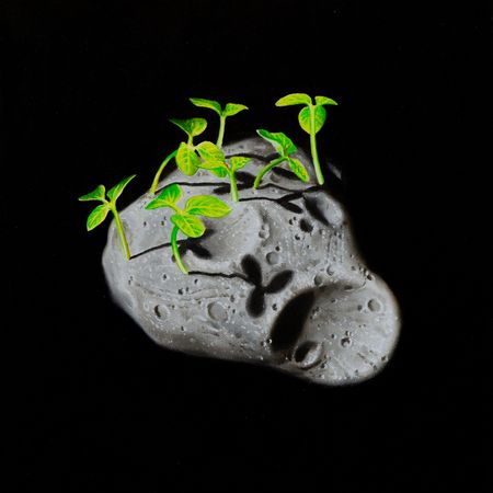 Виктор Пономаренко (Картина, живопись - 
                  30 x 30 см) Астероид 325